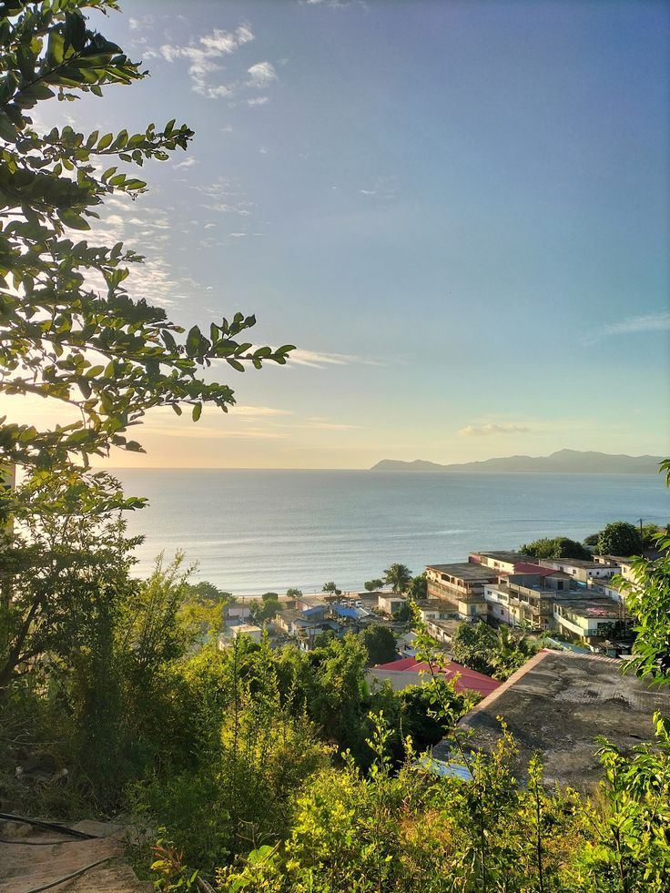 PHOTO 2025 09 24 19 52 51